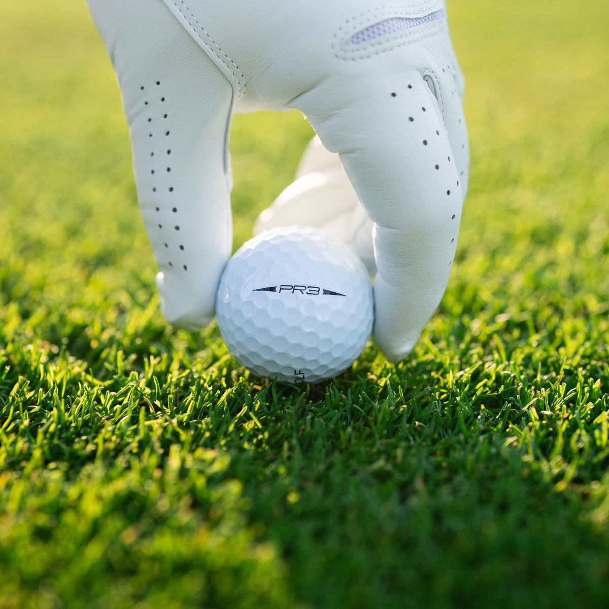 PR3 - Fall Four Pack Golf Ball Snell Golf